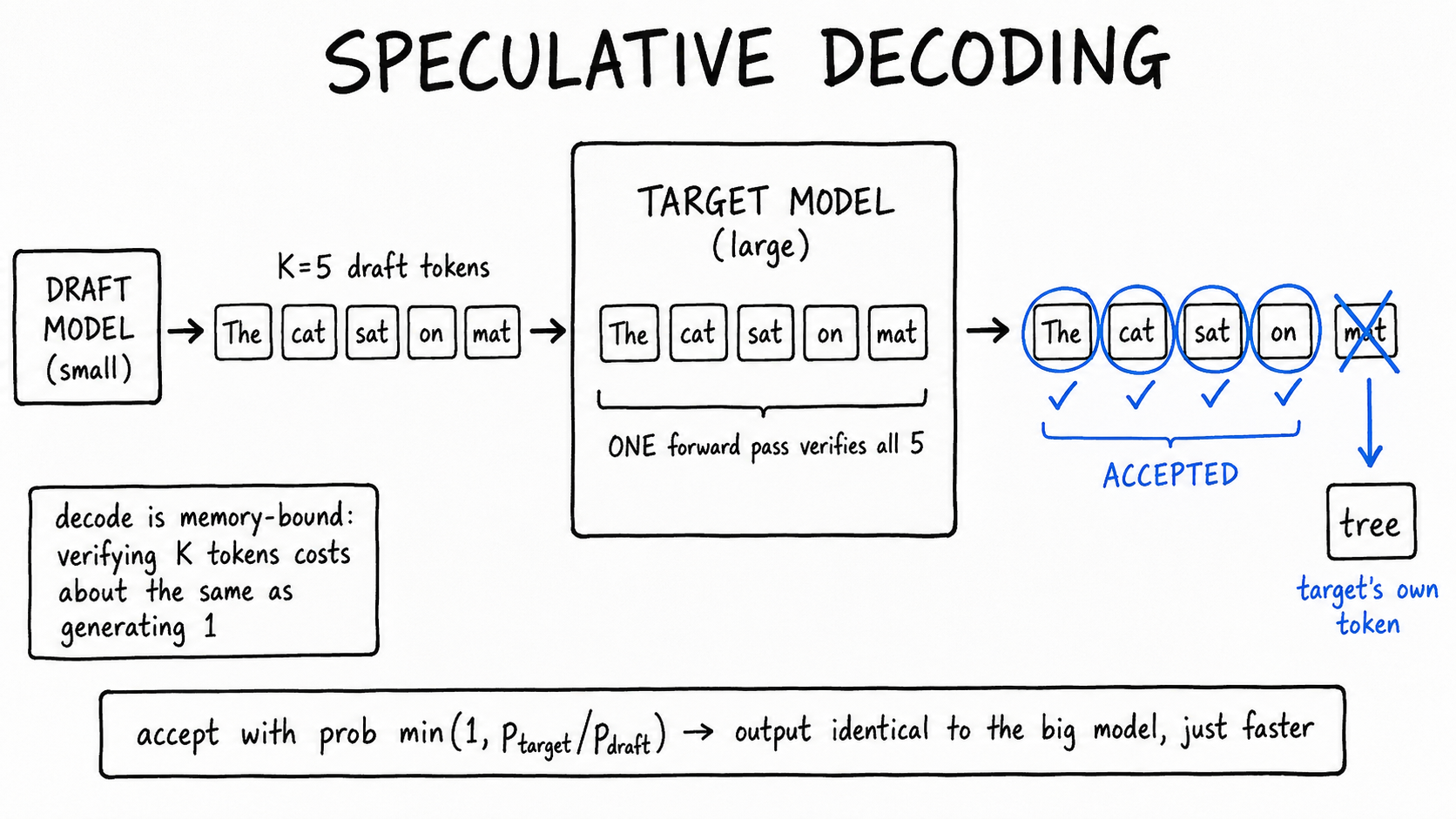 Hand-drawn diagram titled SPECULATIVE DECODING. A small 'draft model' box proposes five tokens ('The cat sat on mat'). A large 'target model' box verifies all five in one forward pass. The first four are circled in cobalt and ticked ACCEPTED; the fifth is crossed out, replaced by the token 'tree' labeled target's own token. Caption: accept with prob min(1, p_target/p_draft).