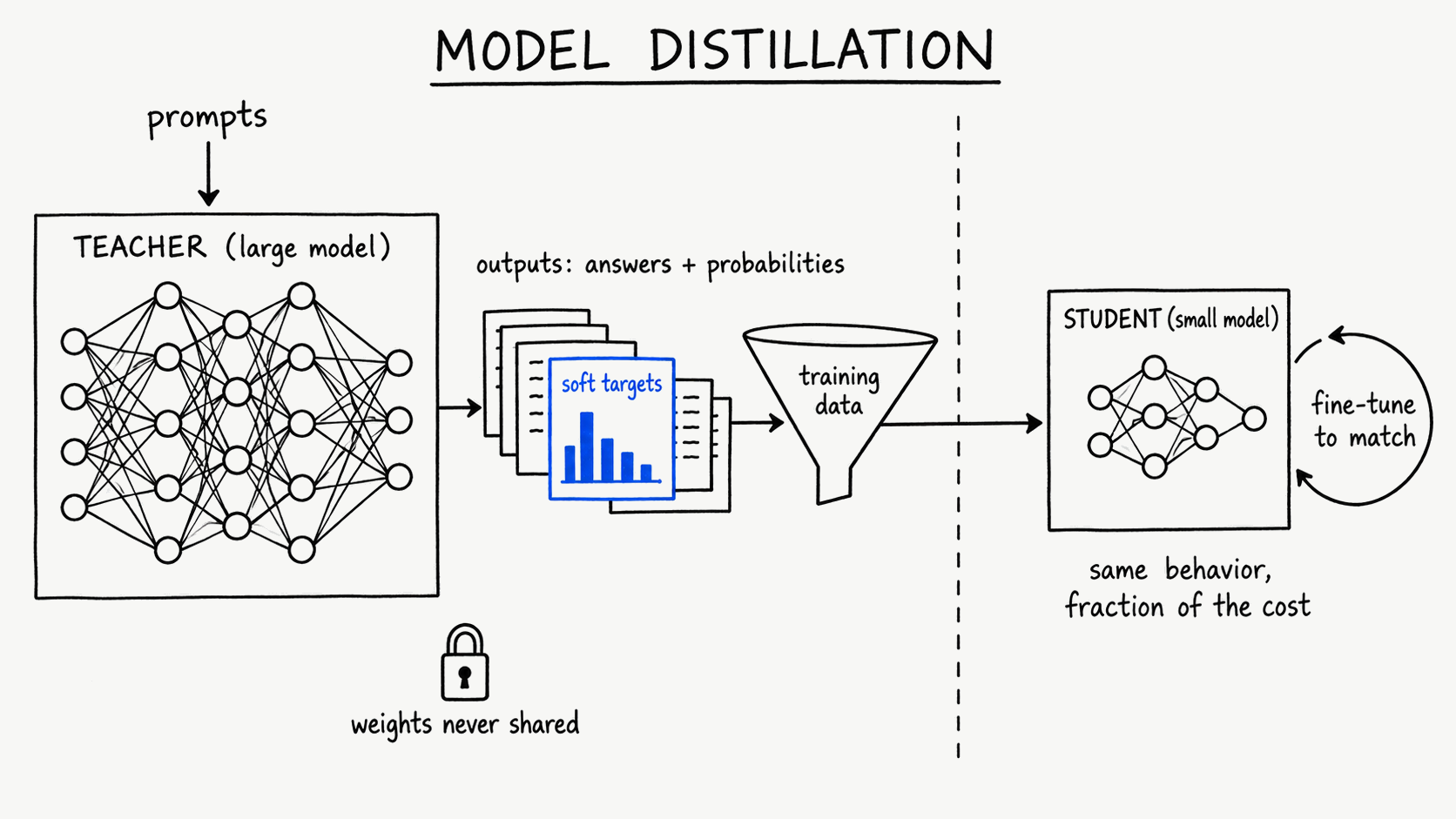 Hand-drawn diagram titled 'Model distillation': prompts enter a large TEACHER neural network; its outputs (answers plus probabilities, with a cobalt 'soft targets' card showing a bar chart) flow through a 'training data' funnel into a smaller STUDENT model with a 'fine-tune to match' loop, noted 'same behavior, fraction of the cost'; a padlock marks 'weights never shared'.