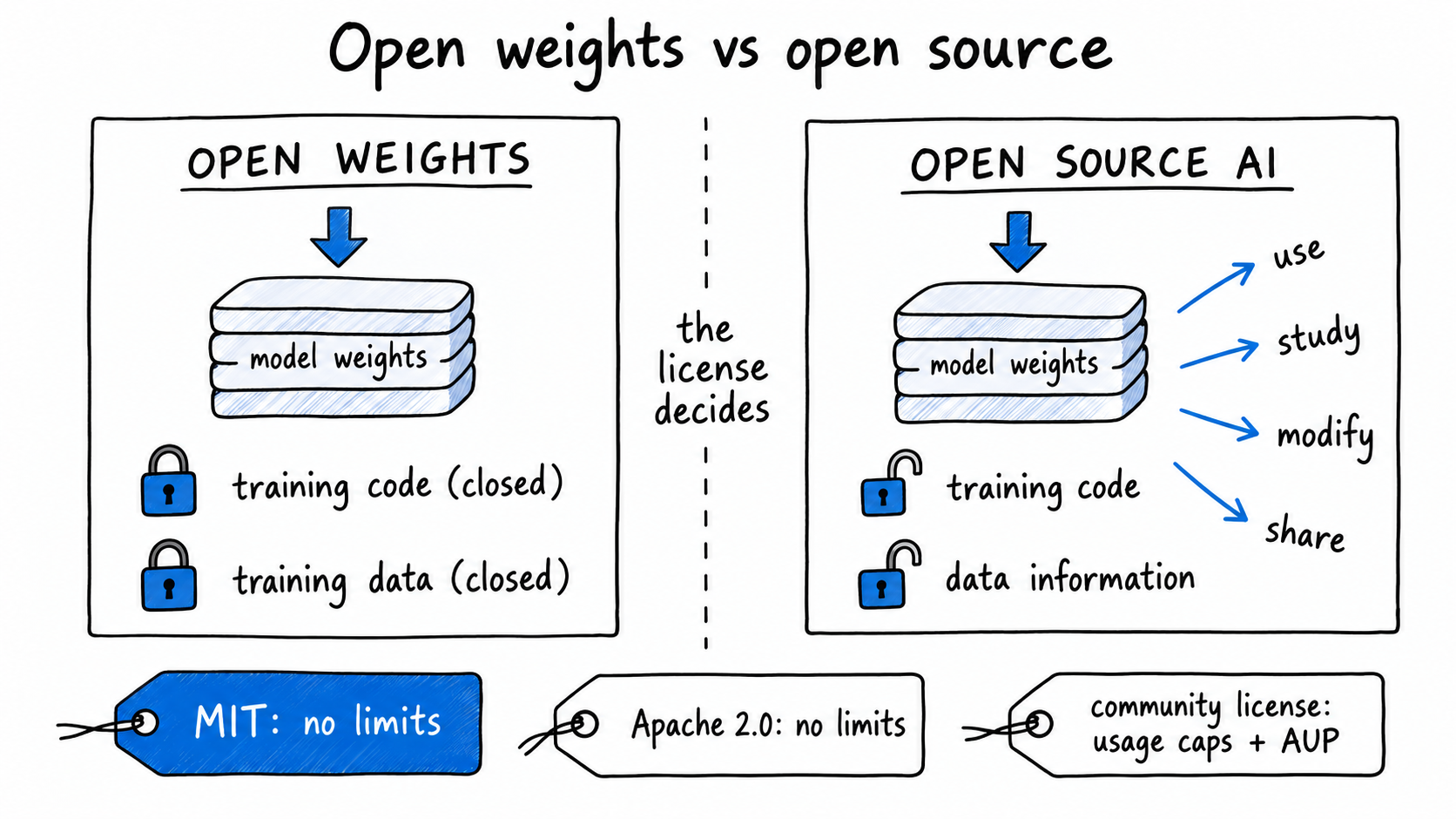 Hand-drawn diagram titled 'Open weights vs open source'. Left box: downloadable model weights with locked training code and data. Right box 'Open source AI': weights plus unlocked training code and data information, cobalt arrows labeled use, study, modify, share. A dashed divider reads 'the license decides'; tags below compare MIT, Apache 2.0, and community licenses.
